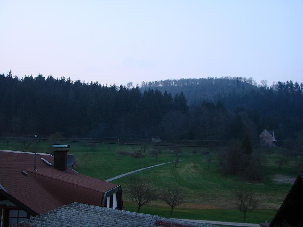Gästehaus Alexanna Baden-Baden Exterior foto